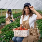 GreenField Yield Boost