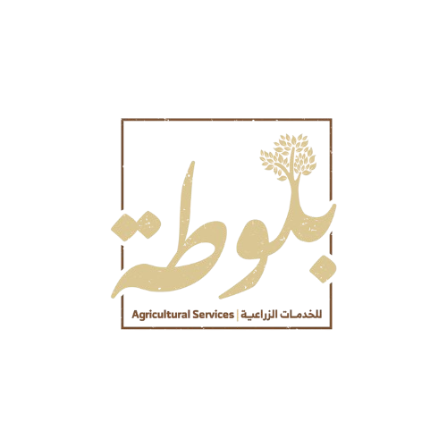 Logo-removebg-preview